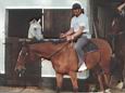 Le mme,  cheval