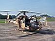 Gazelle de l'Arme de Terre