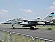 Jaguar anglais